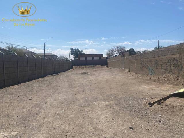 #1728 - Terreno para Arriendo en Calama - II - 1